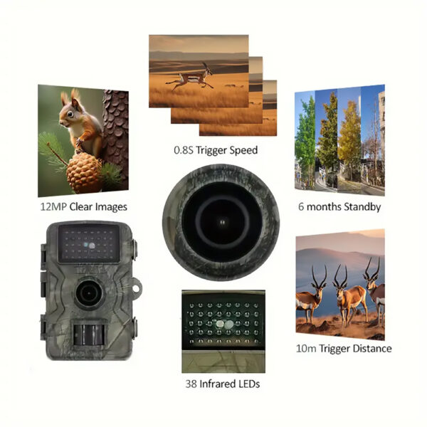 Wildlife Trail Camera, Night Vision, Outdoor Surveillance, Battery Operated, USB Compatible - Image 3